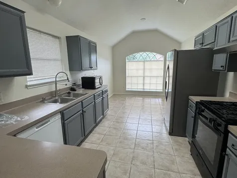 21111 Woodland Green Drive Katy TX 77449