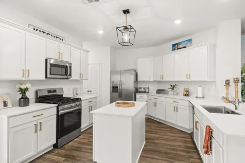31515 Silverthorne Bush Drive Hockley TX 77447