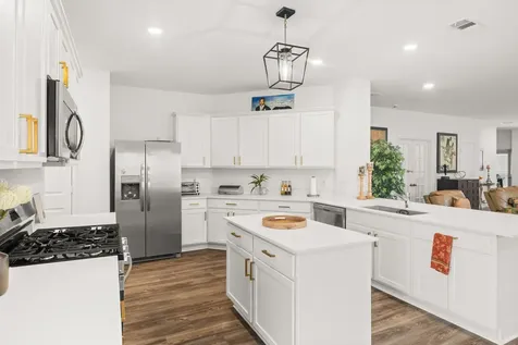 31515 Silverthorne Bush Drive Hockley TX 77447