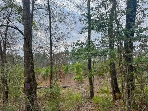 1 Union Springs Road Corrigan TX 75939