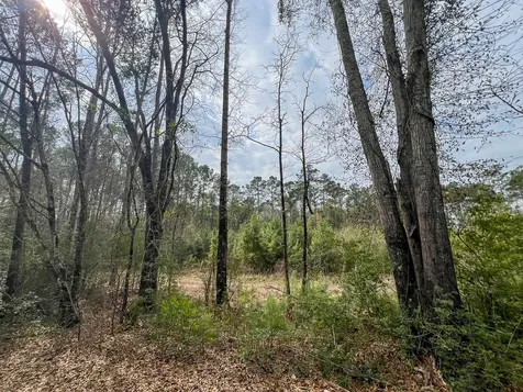 1 Union Springs Road Corrigan TX 75939