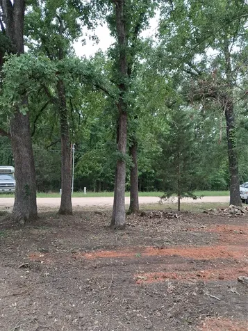 372 Daisy Drive Livingston TX 77351