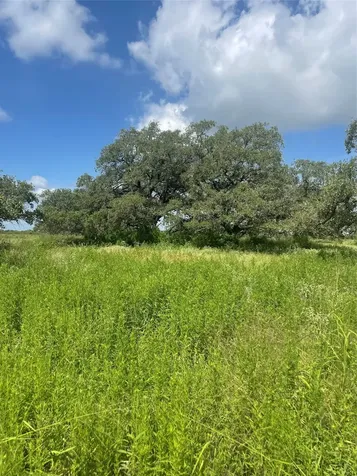 00 Highway 183 Refugio TX 78377