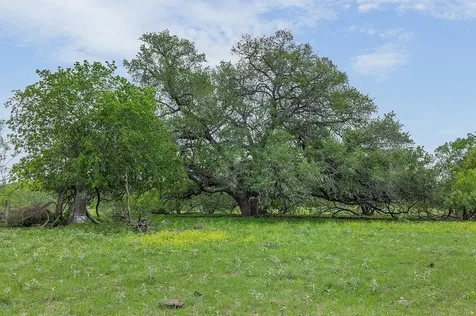 10889 Seydler Road La Grange TX 78945