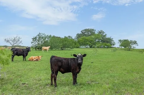10889 Seydler Road La Grange TX 78945