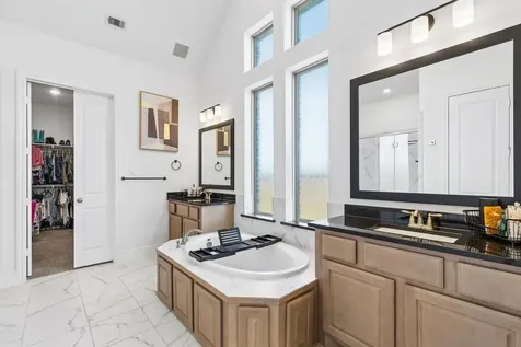 6903 Shoreline View Drive Katy TX 77493