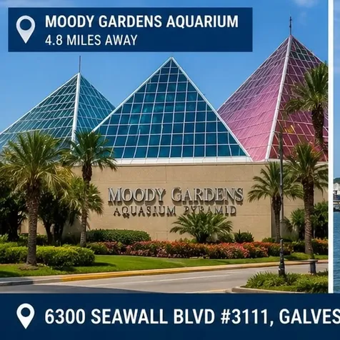 6300 Seawall Boulevard 3111 Galveston TX 77551