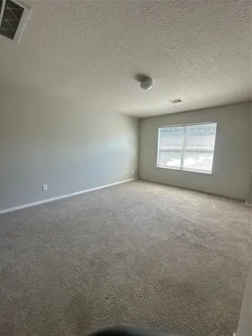 12003 Audubon Hill Court Houston TX 77038