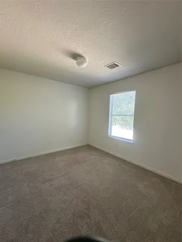 12003 Audubon Hill Court Houston TX 77038