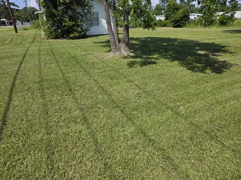 754 Yaupon Cove Drive Onalaska TX 77360