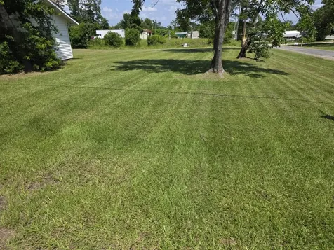 754 Yaupon Cove Drive Onalaska TX 77360