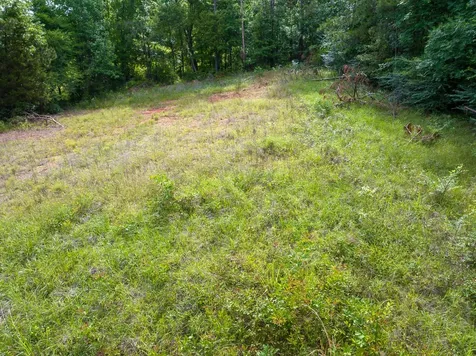 1 County Road 364 South Henderson TX 75654