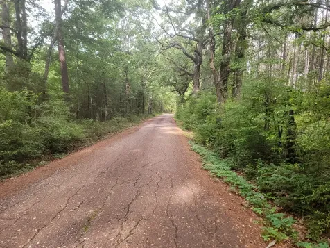 1 County Road 364 South Henderson TX 75654