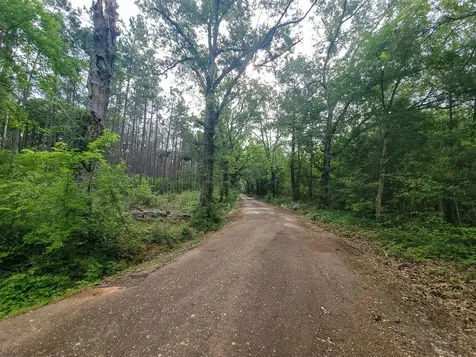 1 County Road 364 South Henderson TX 75654
