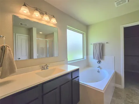 12525 Canyon Hill Drive Willis TX 77318