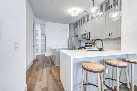 1508 Blodgett Street 405 Houston TX 77004