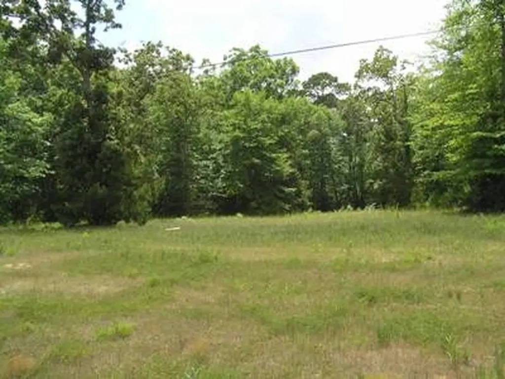 Tbd Fm 3126 And Highway 190 W Livingston TX 77351