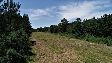 9490 S State Highway 19 Lovelady TX 75851