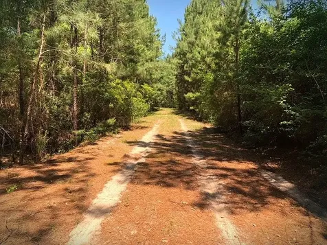 9490 S State Highway 19 Lovelady TX 75851