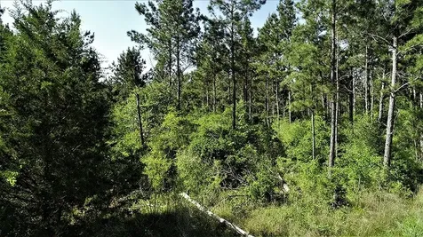 9490 S State Highway 19 Lovelady TX 75851