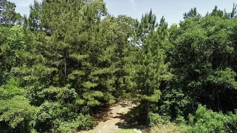 9490 S State Highway 19 Lovelady TX 75851