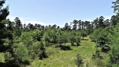 9490 S State Highway 19 Lovelady TX 75851