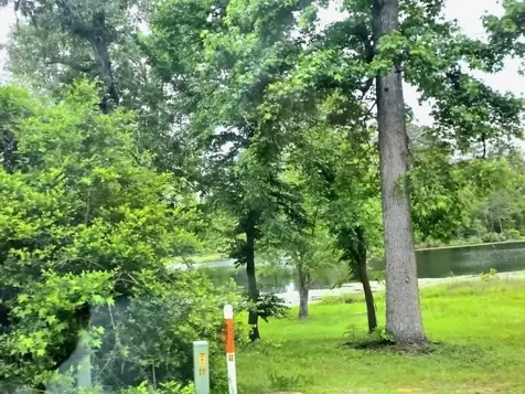 0 Dogwood Lake Drive Livingston TX 77351