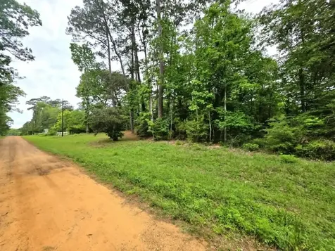 0 Dogwood Lake Drive Livingston TX 77351