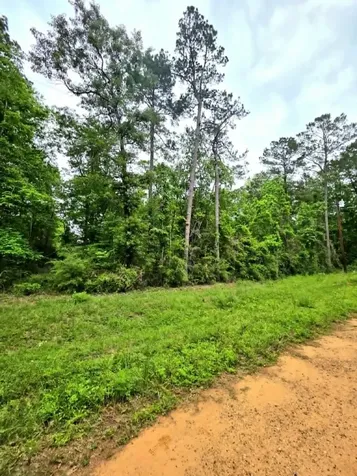 0 Dogwood Lake Drive Livingston TX 77351