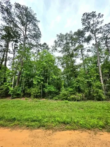 0 Dogwood Lake Drive Livingston TX 77351