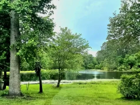 0 Dogwood Lake Drive Livingston TX 77351
