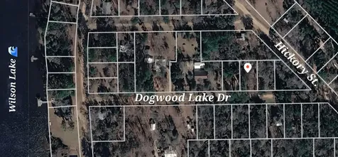0 Dogwood Lake Drive Livingston TX 77351
