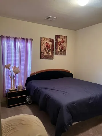 3419 Selene Drive Missouri City TX 77459