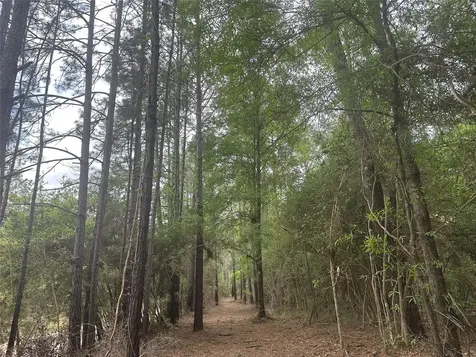 Tbd Cr 3114 Buna TX 77612