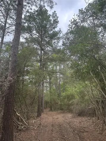 Tbd Cr 3114 Buna TX 77612