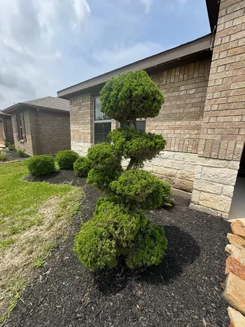 3530 Sicily Island Lane Katy TX 77494