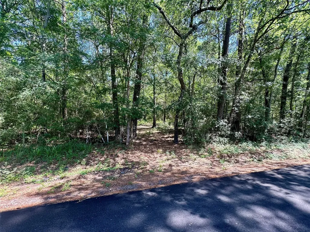 0 Taliaferro Road Richards TX 77873