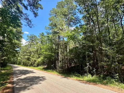 0 Taliaferro Road Richards TX 77873