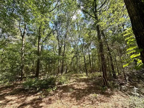 0 Taliaferro Road Richards TX 77873