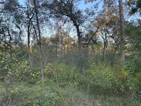 119 County Road 4533 Dayton TX 77535