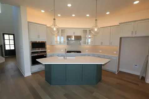 11234 Apricot Sulphur Drive Cypress TX 77433