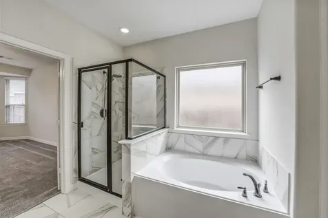 2234 Angel Trumpet Drive Katy TX 77494