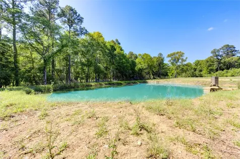 Lot 13 Spring Branch Road Montgomery TX 77316