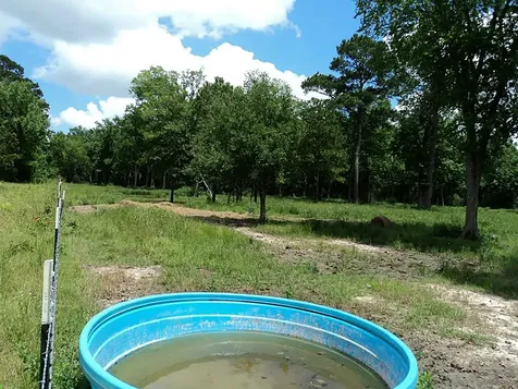 2620 Highway 90 Crosby TX 77532
