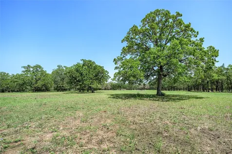 4638 Red Hollow Lane Smithville TX 78957