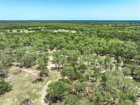 4638 Red Hollow Lane Smithville TX 78957