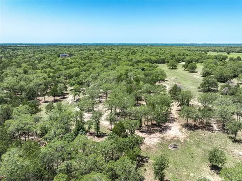 4638 Red Hollow Lane Smithville TX 78957