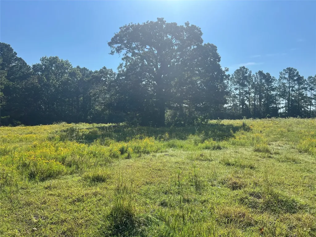 000 Hardy Bottom Road Huntsville TX 77340