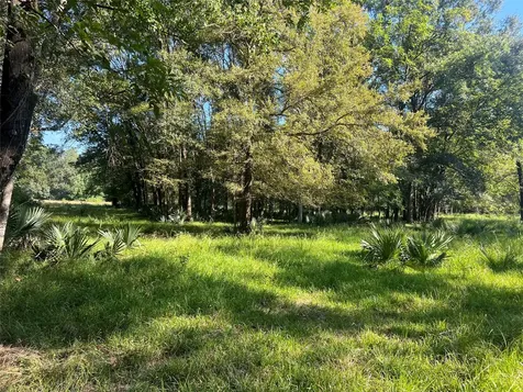 000 Hardy Bottom Road Huntsville TX 77340