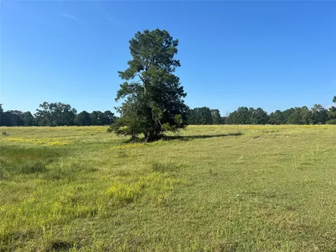 000 Hardy Bottom Road Huntsville TX 77340